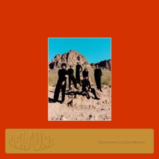 Leisure - Welcome To the Mood 1-LP