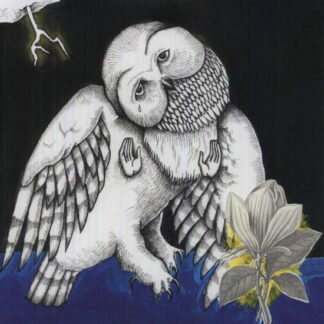 SONGS:OHIA - MAGNOLIA ELECTRIC CO. (10TH ANNIVERSARY DELUXE ED) 2-LP