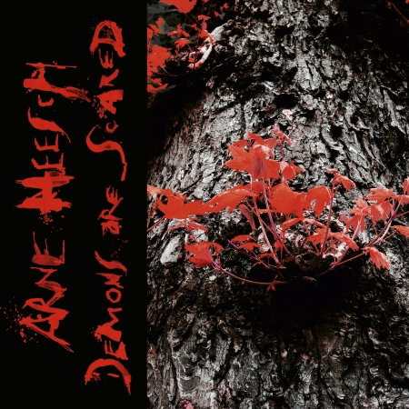 HEESCH, ARNE - DEMONS ARE SCARED L+C 2-Vesair
