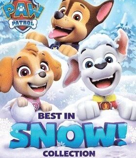 PAW PATROL: BEST IN SNOW 3-DVD