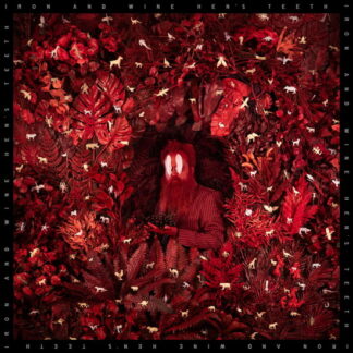 IRON AND WINE - HEN'S TEETH 1-CD