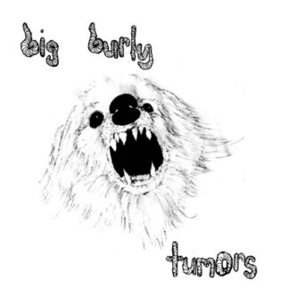 Big Burly - 7-Tumors 1-Vesair