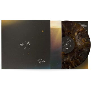Mt. Joy - Hope We Have Fun 1-LP