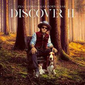 Zucchero - Discover Ii 2-LP