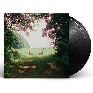 Ratboys - Singin' To an Empty Chair 2-LP