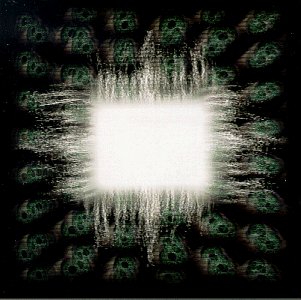 TOOL - AENIMA 1-CD