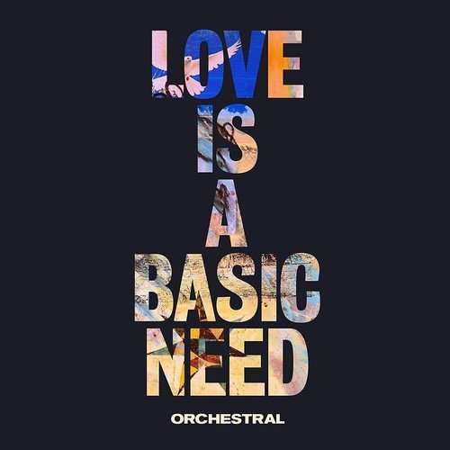 Embrace - Love is a Basic Need (Orchestral) 1-LP