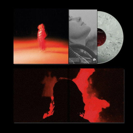 Priddy, Katherine - These Frightening Machines 1-LP