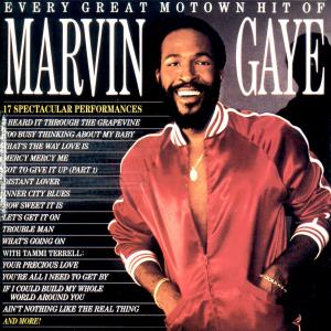 GAYE,MARVIN - EVERY GREAT MOTOWN HIT OF MARVIN GAYE 1-CD