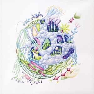 Edren, David - Binnenin 1-LP