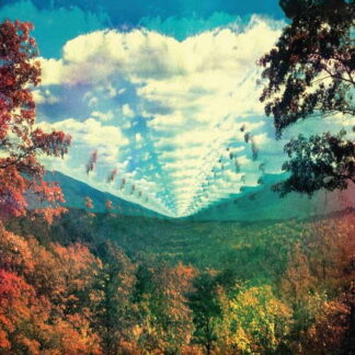 TAME IMPALA - INNERSPEAKER 1-LP