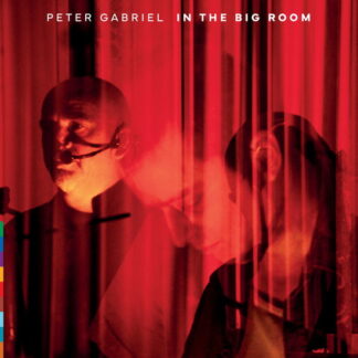GABRIEL,PETER - IN THE BIG ROOM 2-CD