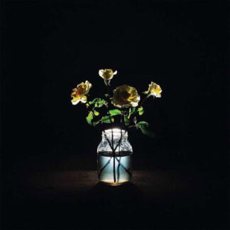 Billy Strings - Renewal 2-LP