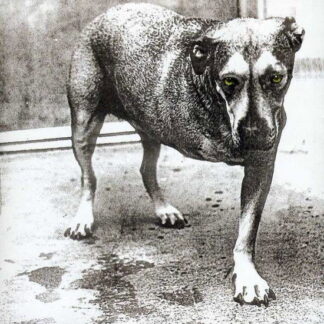 ALICE IN CHAINS 1-CD