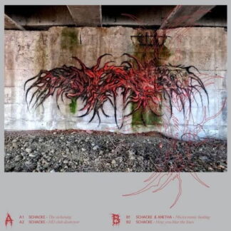 Schacke & Anetha - Looks Are Deceiving 1-Vesair