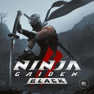 Various Artists - Ninja Gaiden II Black 2-LP