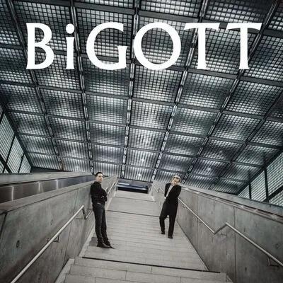 Bigott 1-Vesair