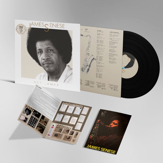 Senese, James - Hey James 1-LP